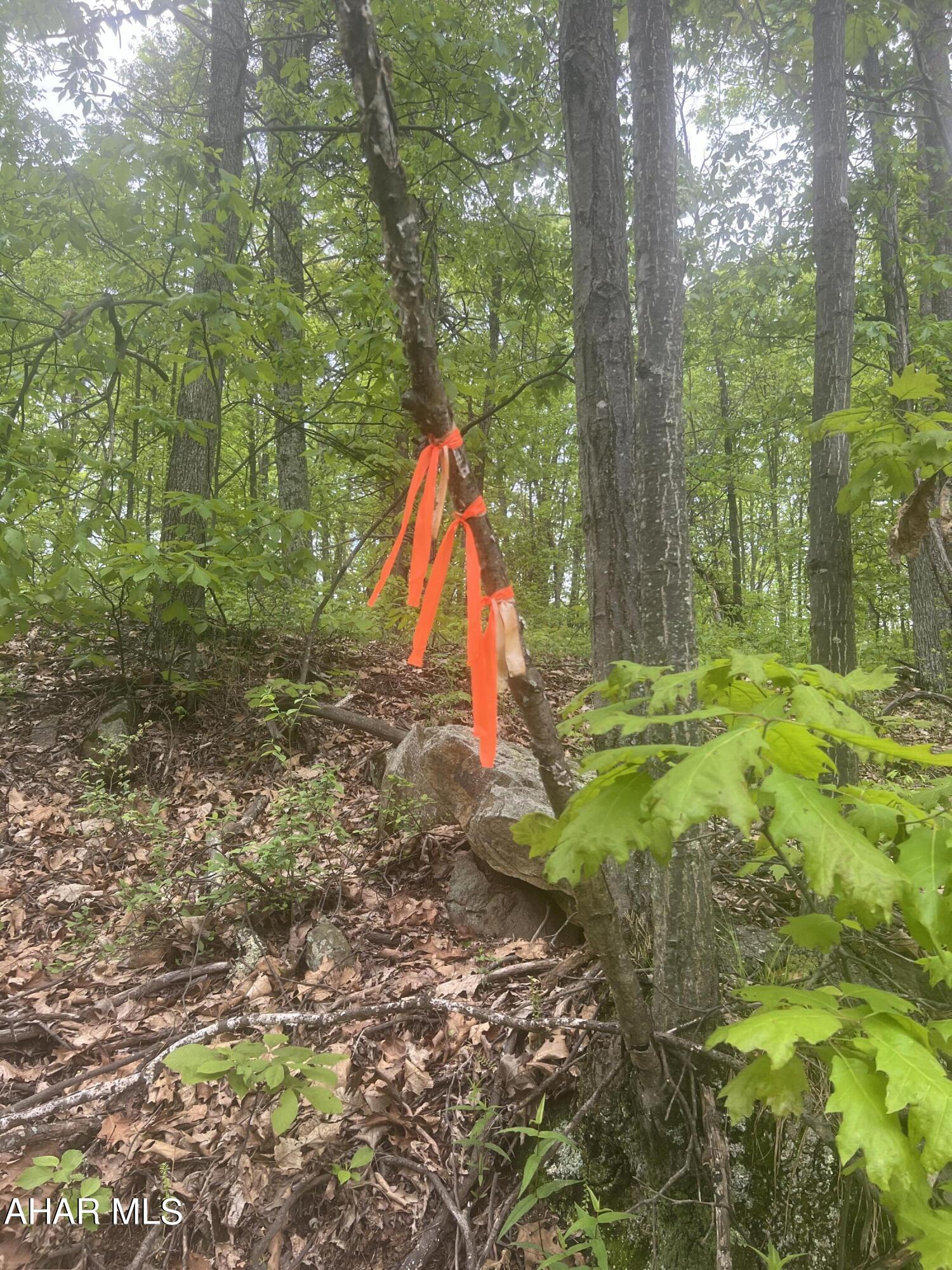 Other - Commercial Sale