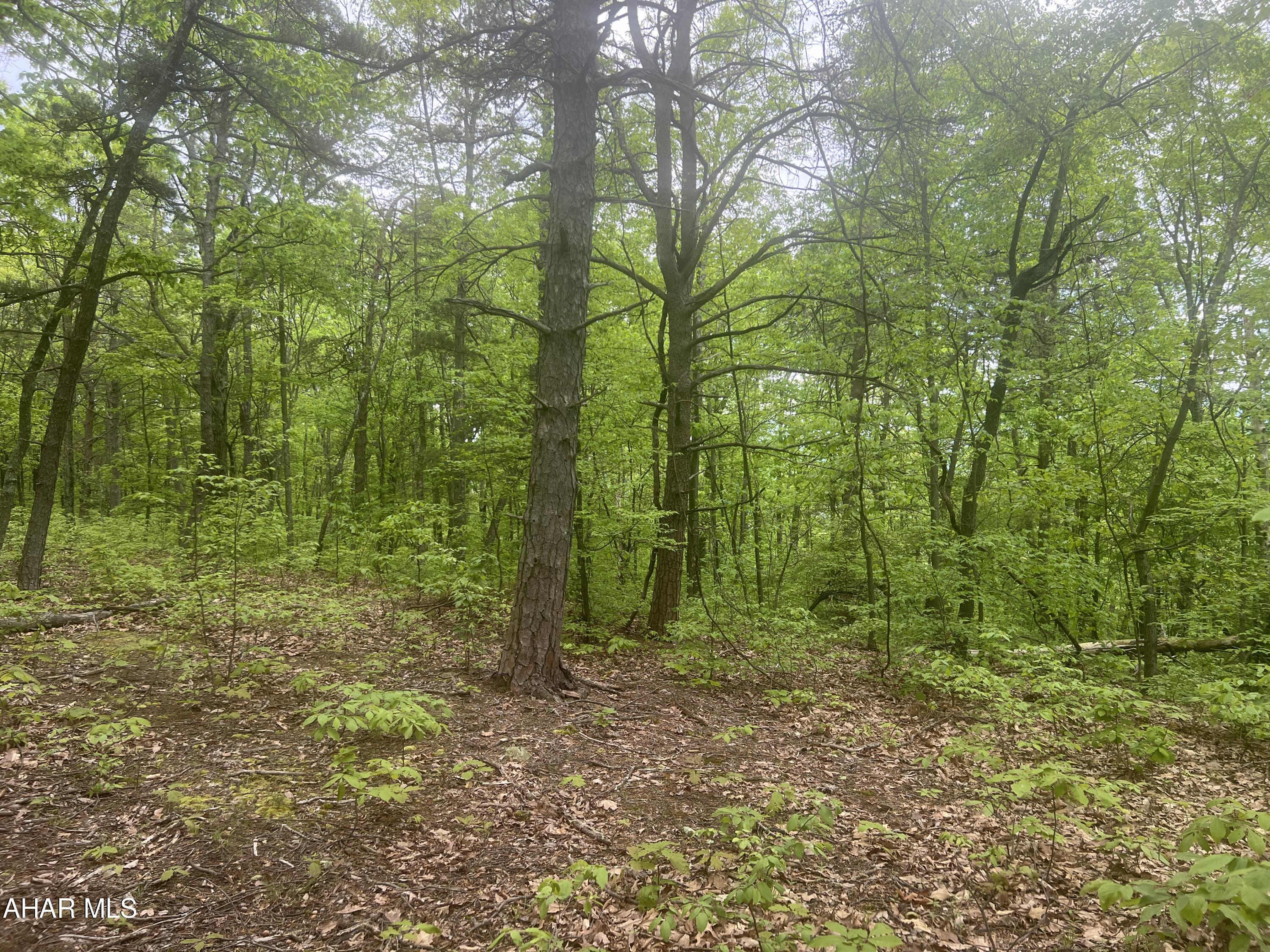 Other - Commercial Sale