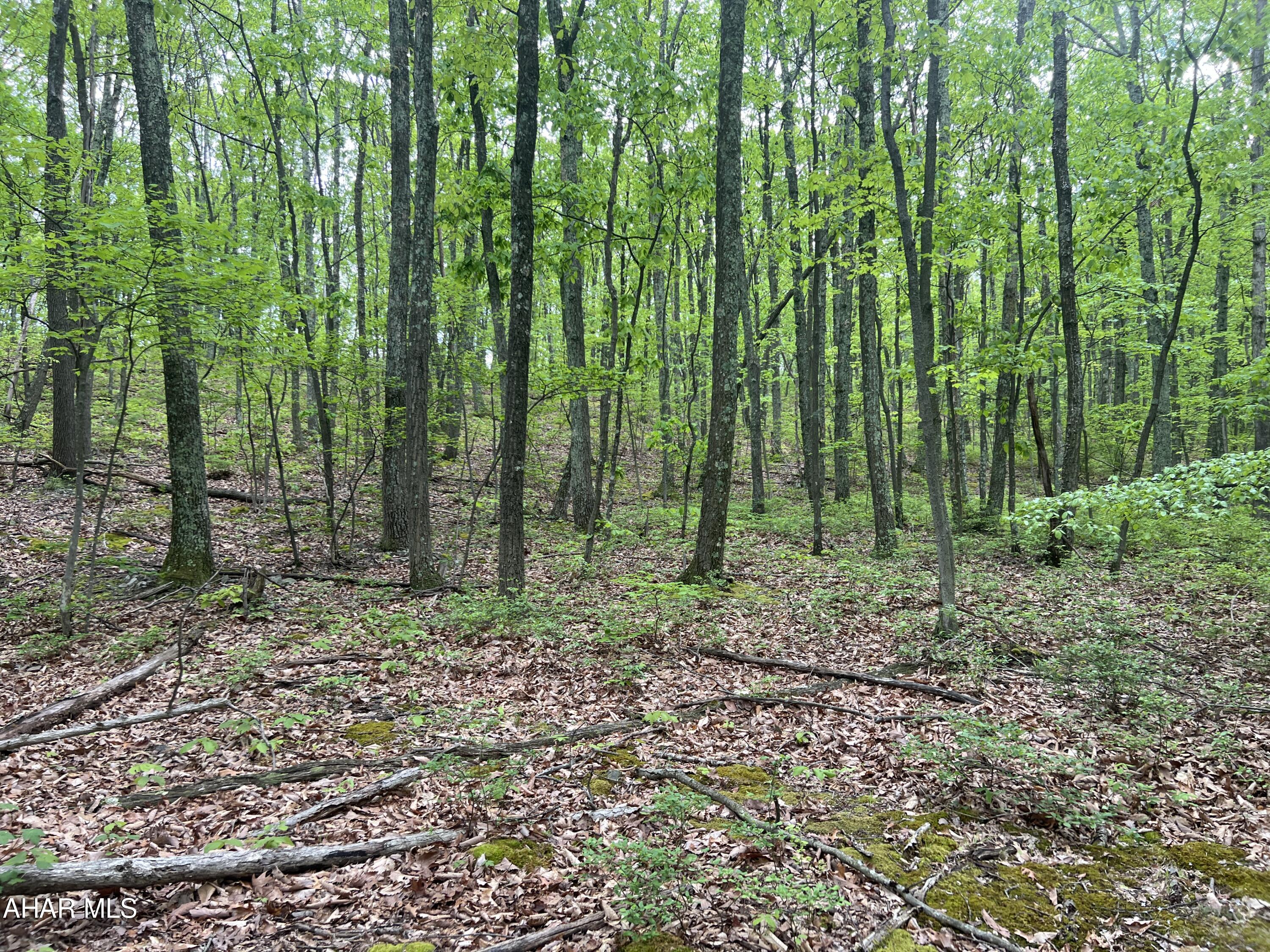 Other - Commercial Sale