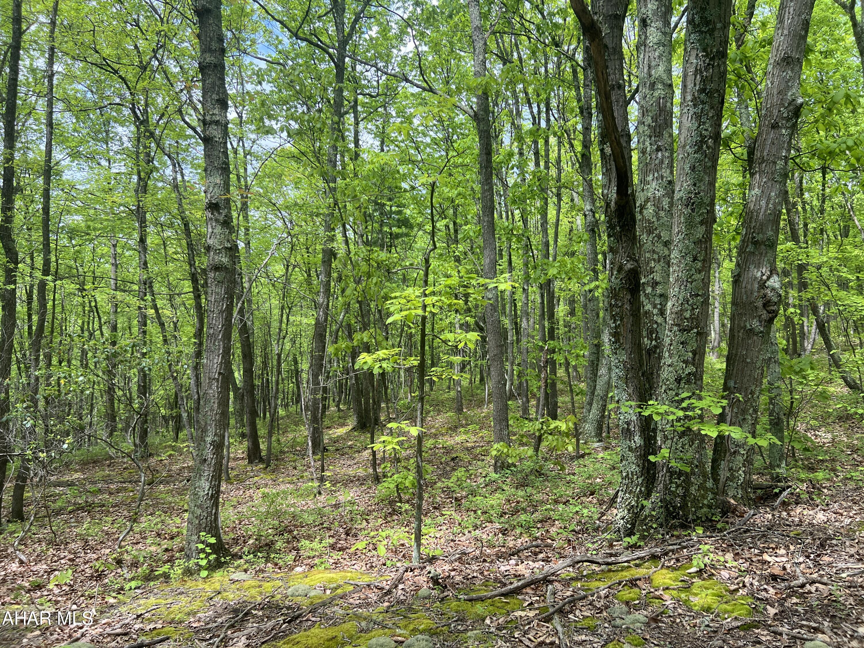 Other - Commercial Sale