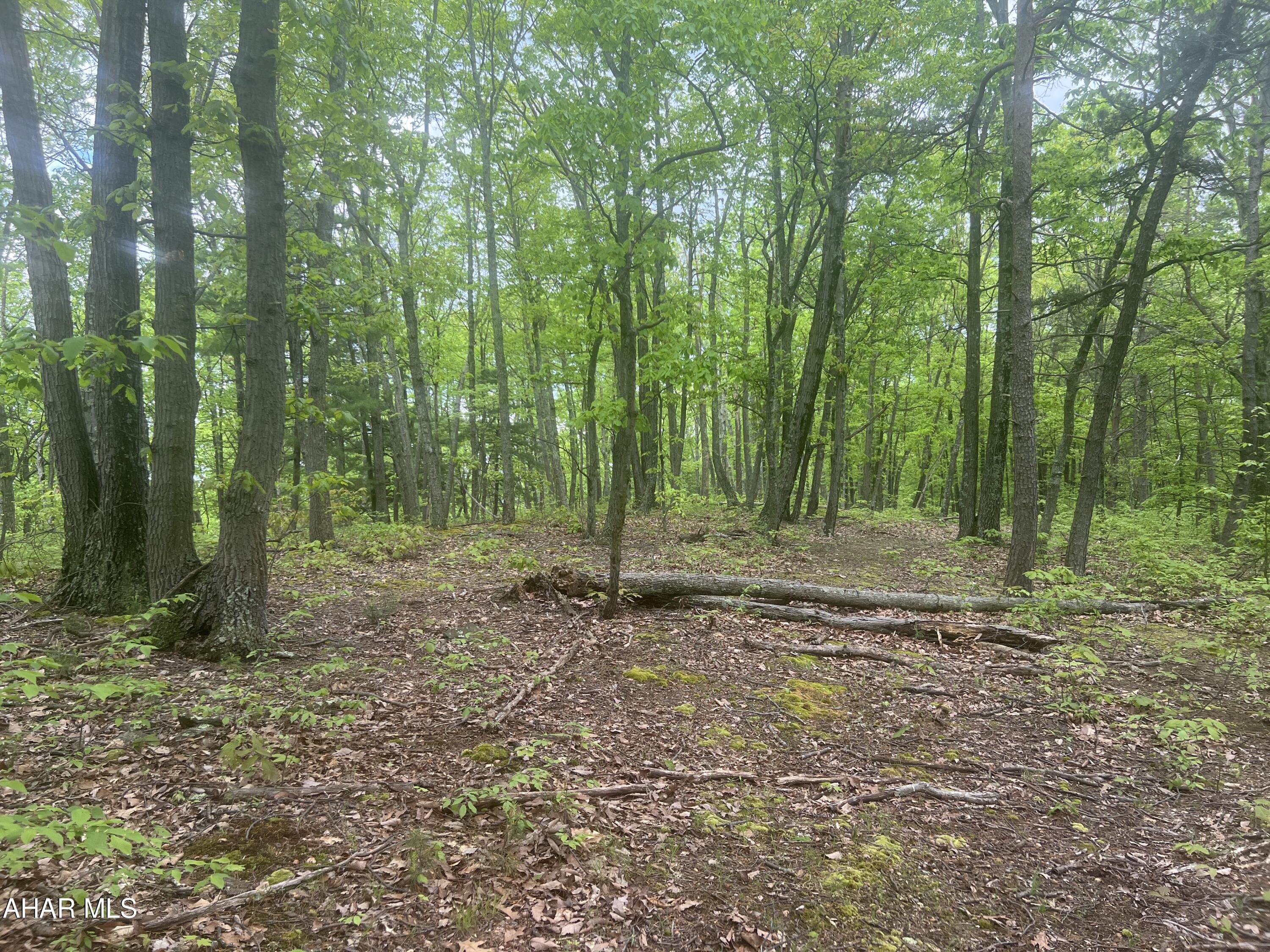 Other - Commercial Sale