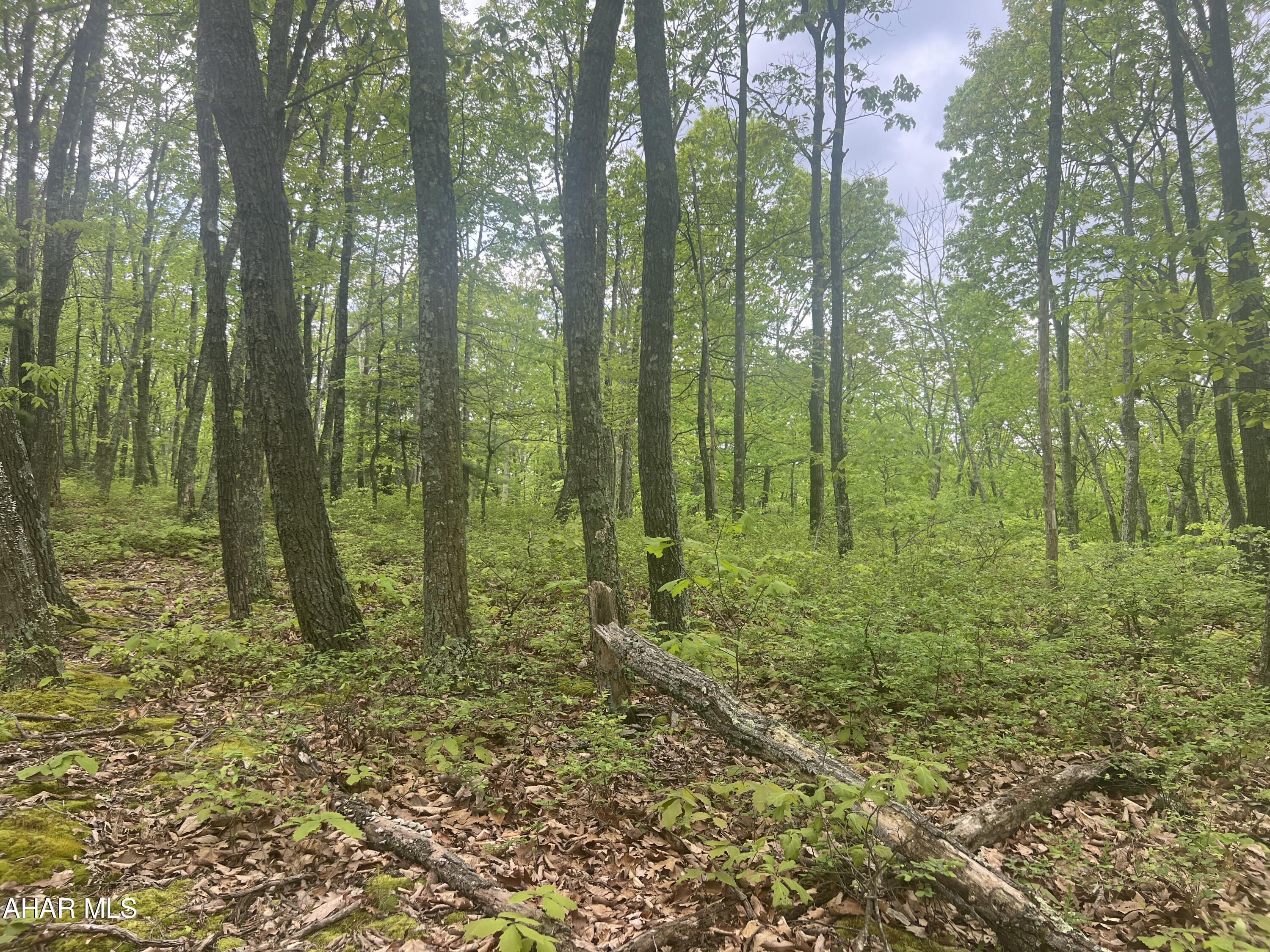 Other - Commercial Sale