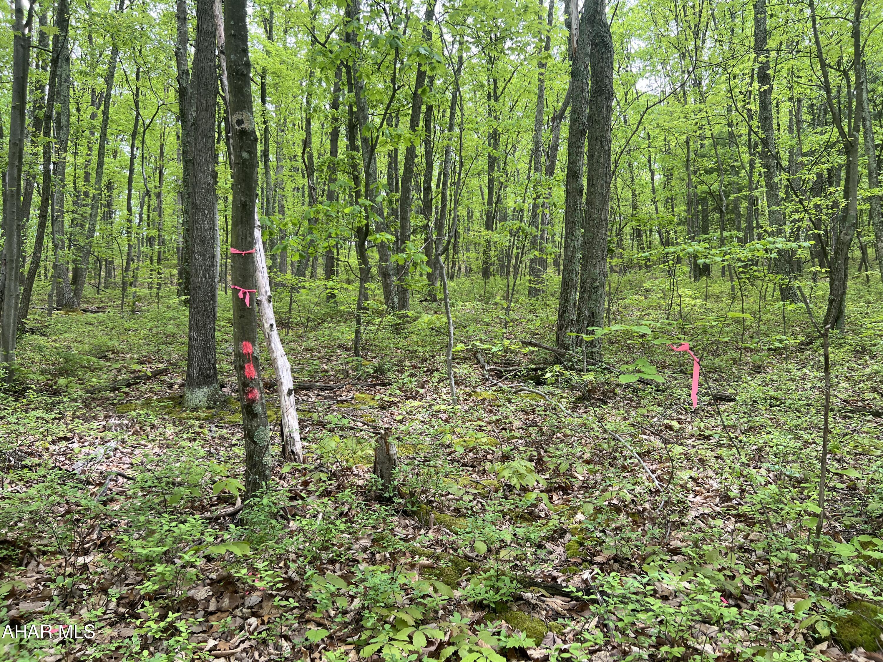 Other - Commercial Sale