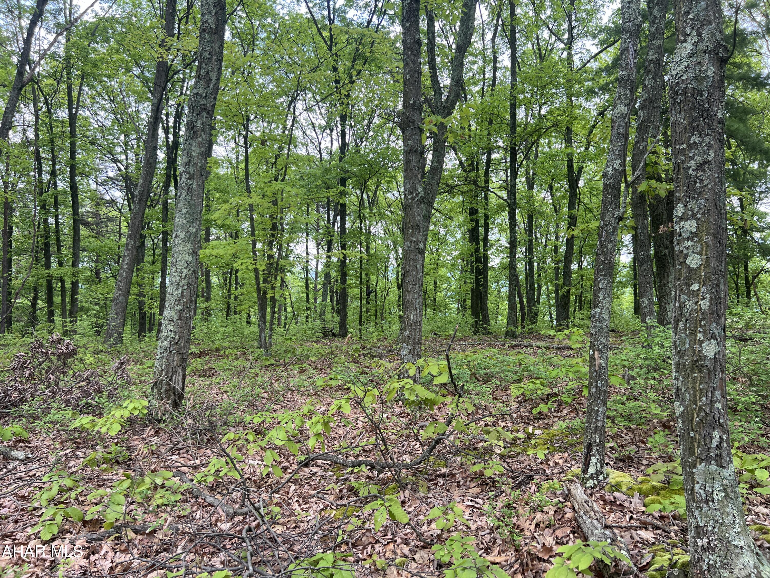 Other - Commercial Sale