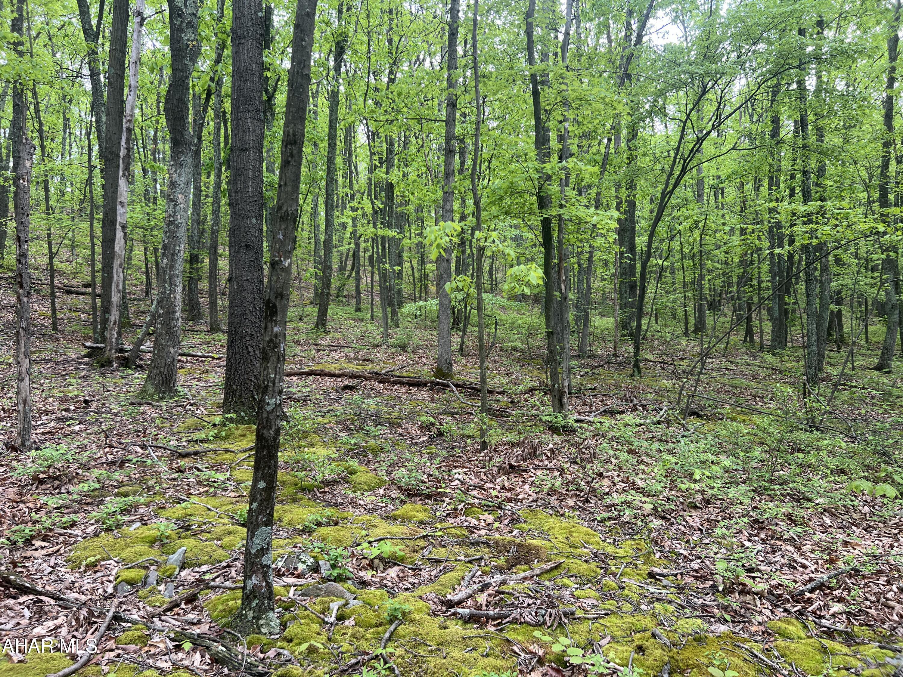 Other - Commercial Sale