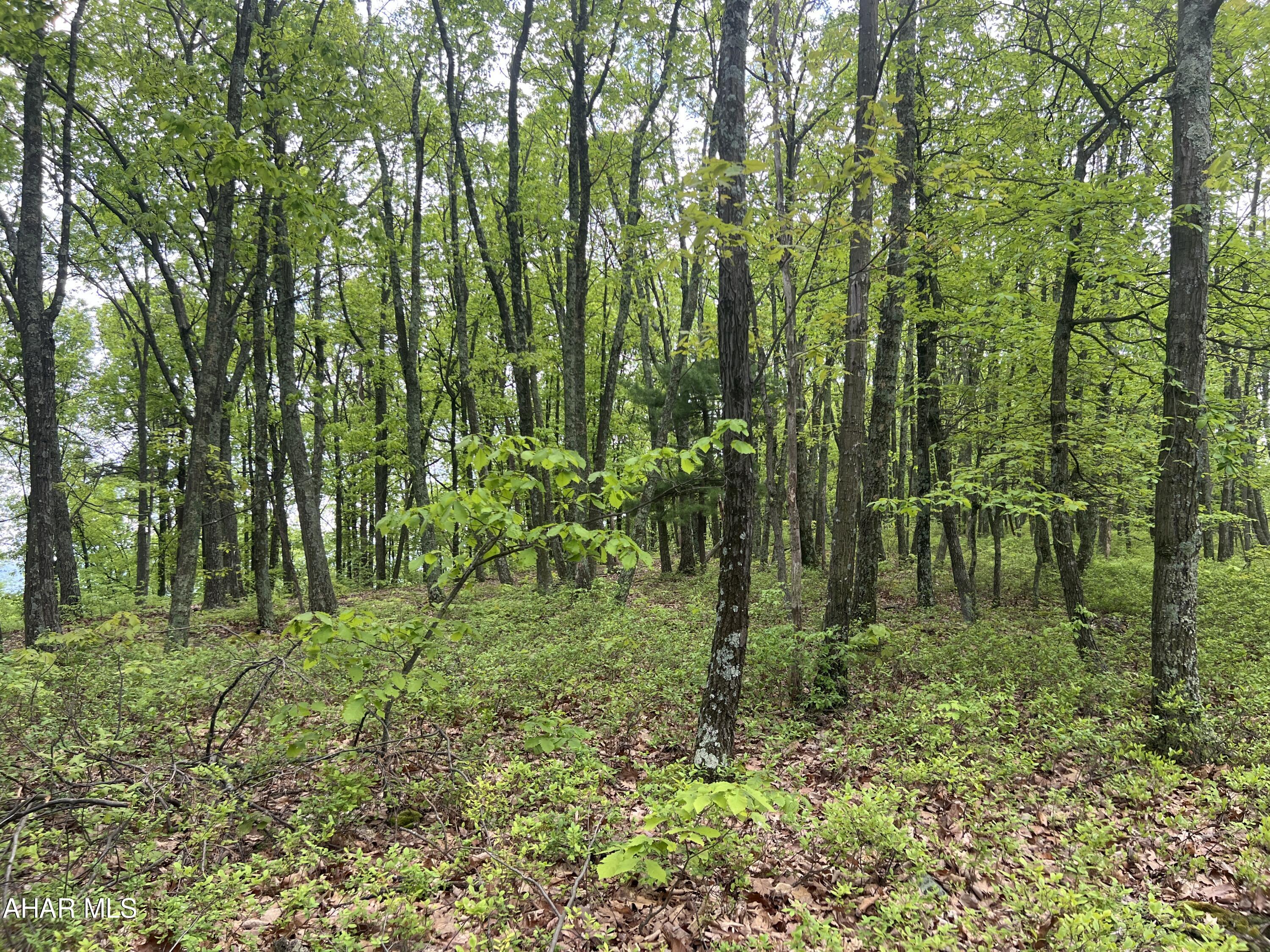 Other - Commercial Sale