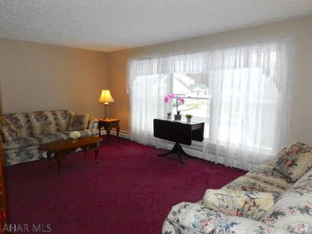 Antis Township - Residential