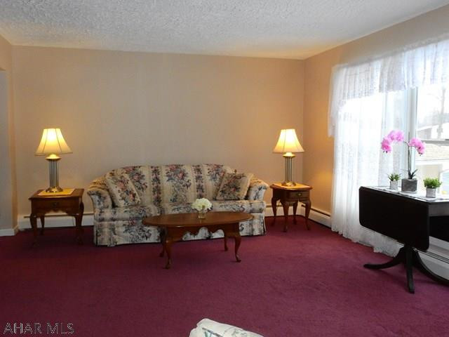 Antis Township - Residential