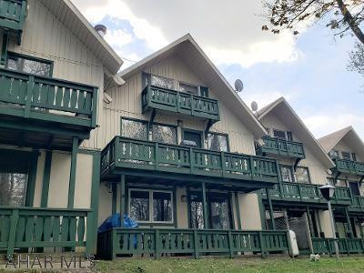 Blue Knob - Residential