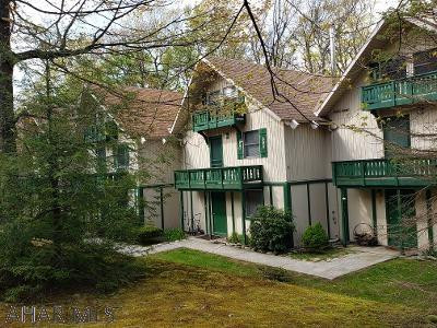 Blue Knob - Residential