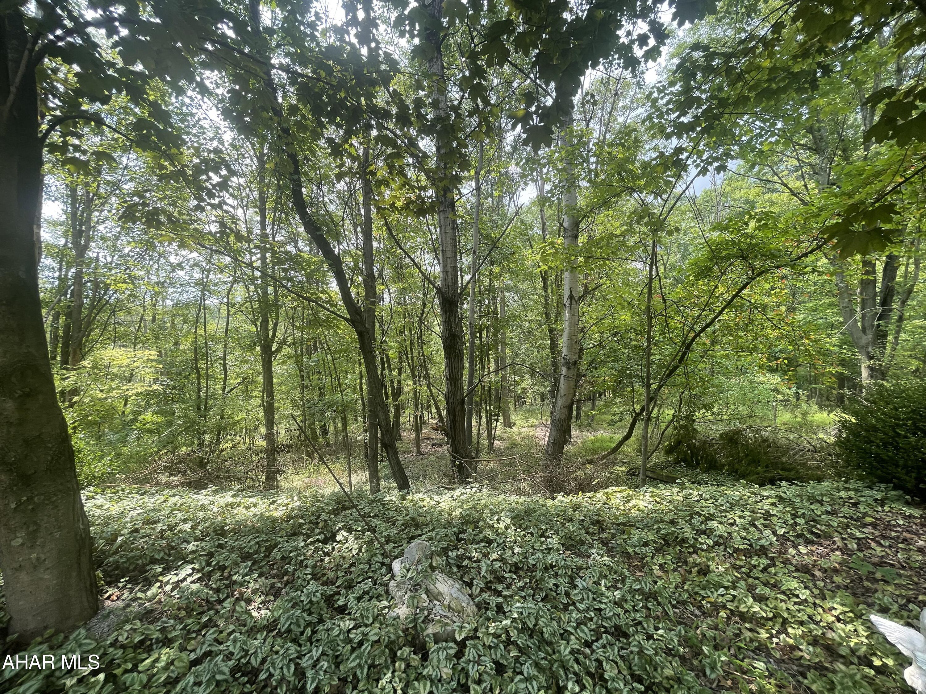 Homers Gap - Residential