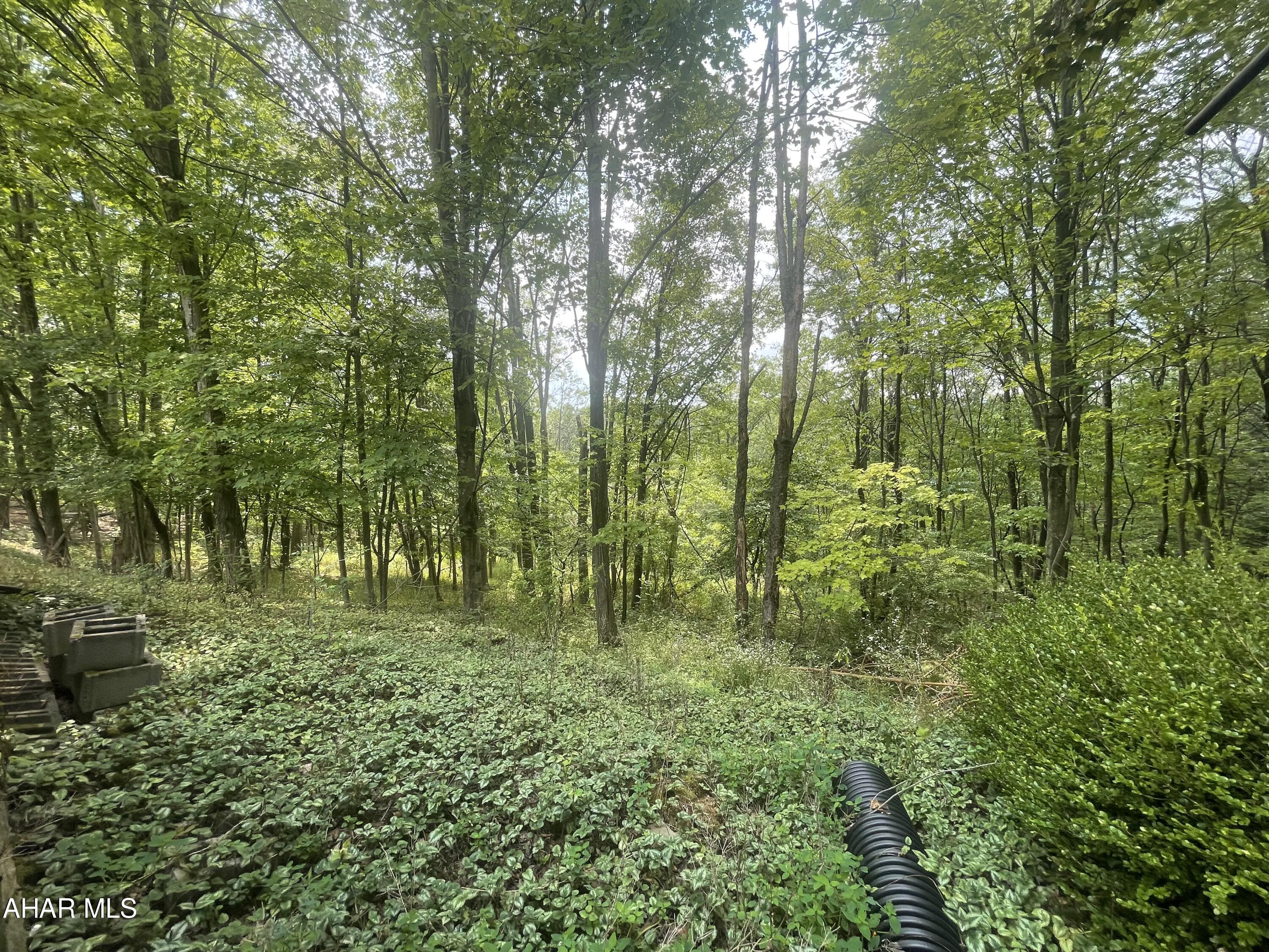 Homers Gap - Residential