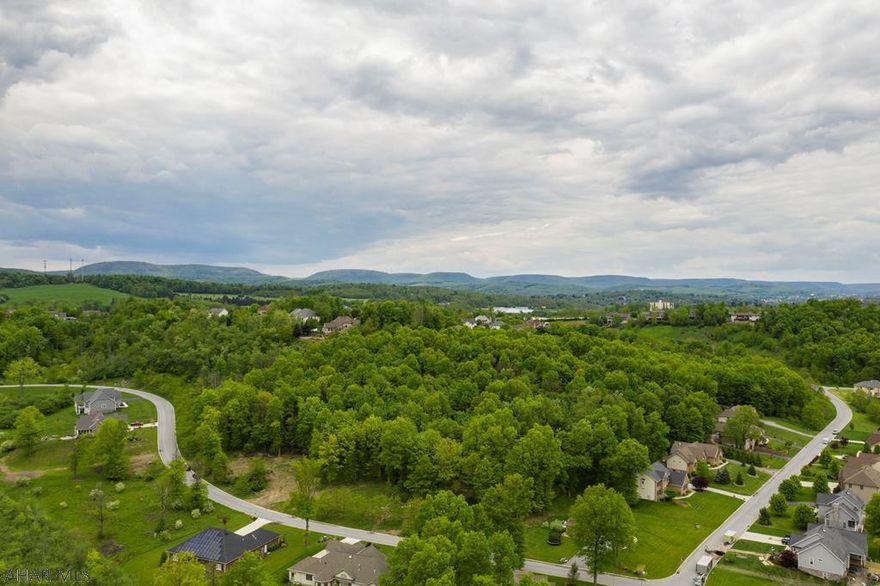 Build your dream home in beautiful Fox Hollow community. Close to local amenities including shopping, dinning, and access to Interstate 99   Hollidaysburg School District   Public Water & Sewer, buyer to pay tap fee at closing