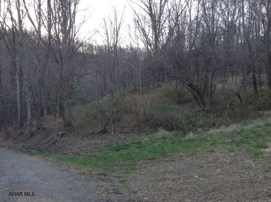 This vacant lot is a nature lover's dream!  This beautiful wooded property has big rocks and cliffs that border Evitts Creek.  It would be a great property to build a hunting/fishing cabin on with great mountain views.  This lot is close to Cumberland, Md., Rocky Gap Casino, Lake Gordon, Bedford, Pa, and Bedford Springs Resort. Soil scientist approved drip irrigation septic system.