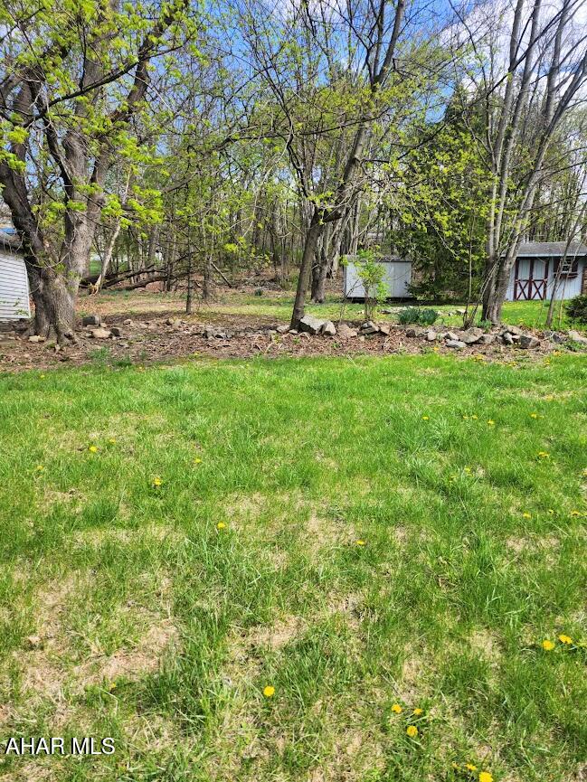 None - Residential Lease