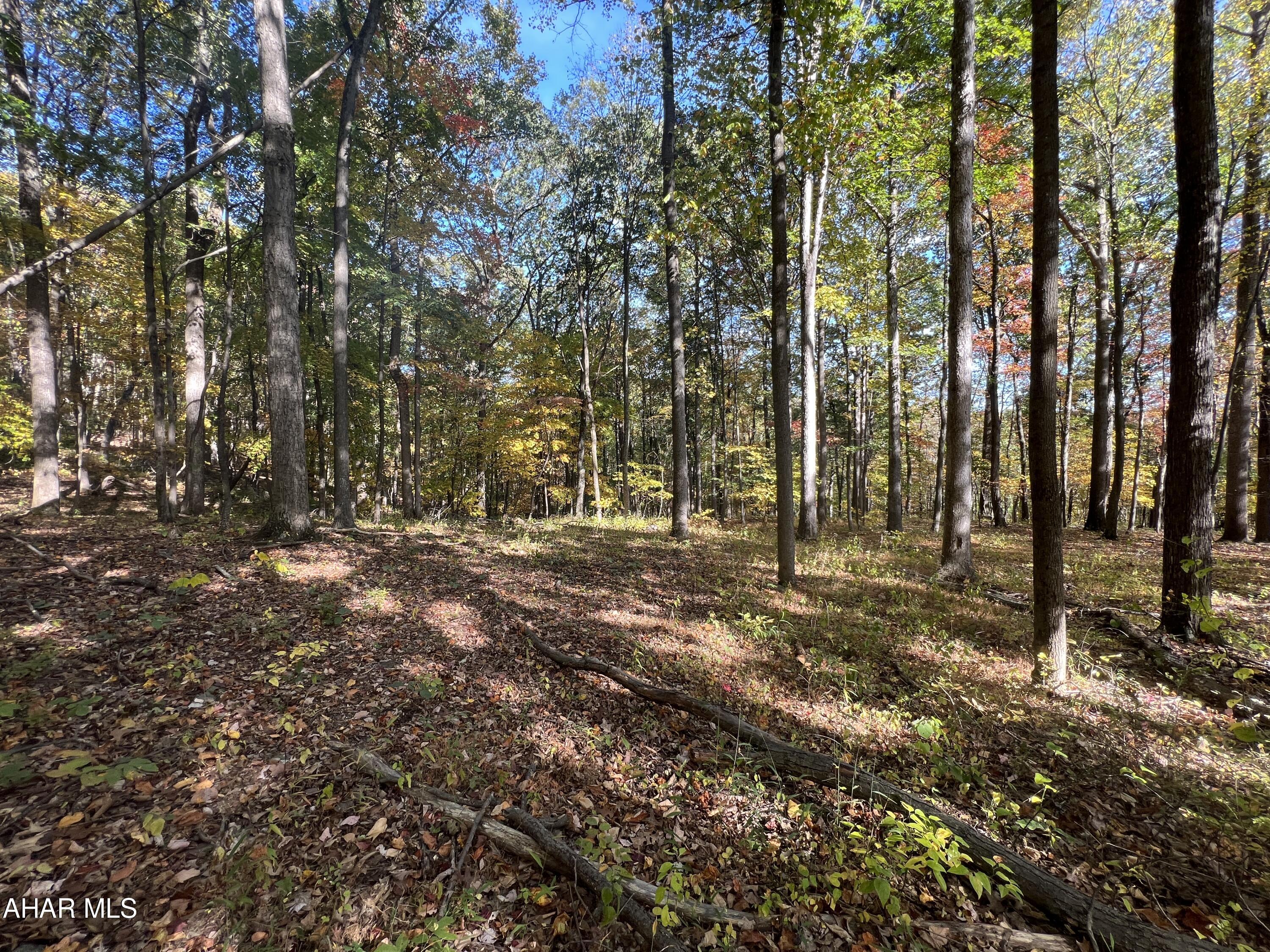 None - Commercial Sale