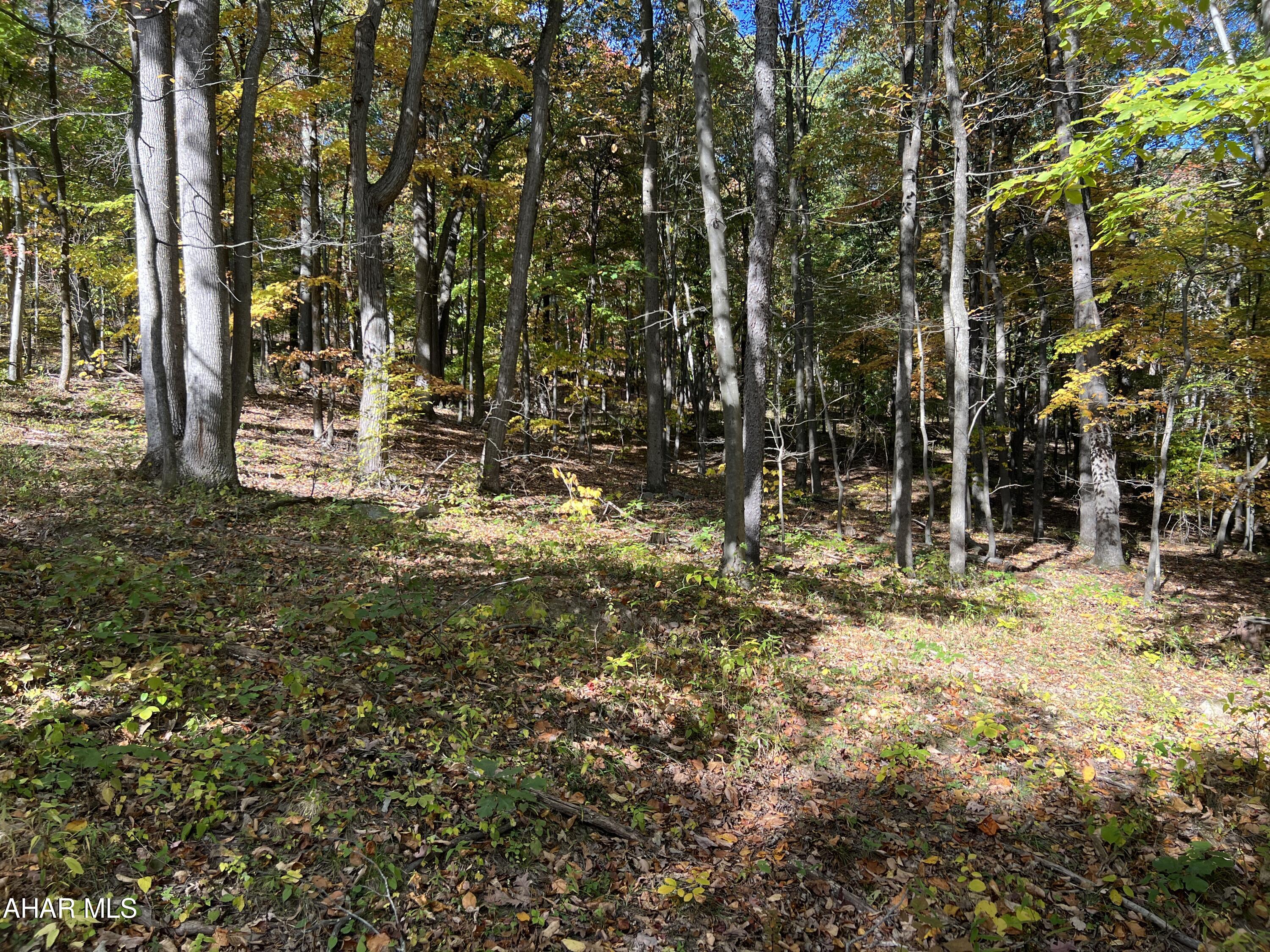 None - Commercial Sale