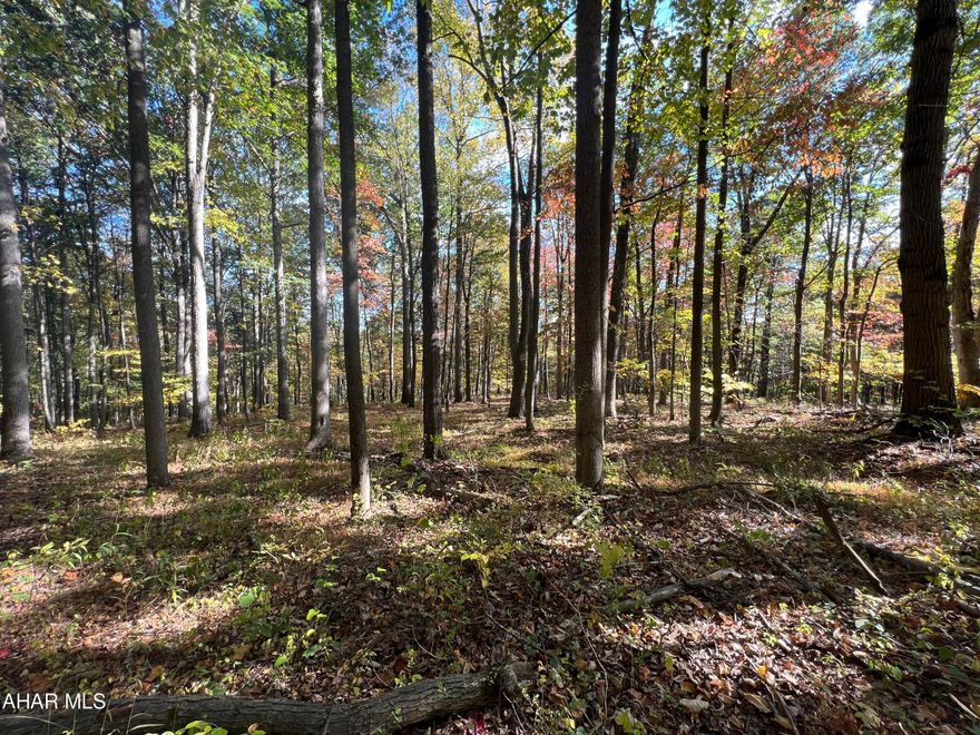 Nice wooded parcel of land consisting of 5.25+/- acres. Located not far from State Game Lands and the Juniata River. Would make a nice location to build a getaway or hunting camp.