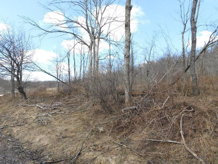 Almost 3 full acres to build your dream home - wooded lot - so much privacy and wildlife to enjoy!  This property is located in the Folmont Community.  RT 30W past Jean Bonnet Tavern continue 12 miles to large green and blue Formont property sign on the right.  The property is 1.9 miles back gravel Rd on the left.