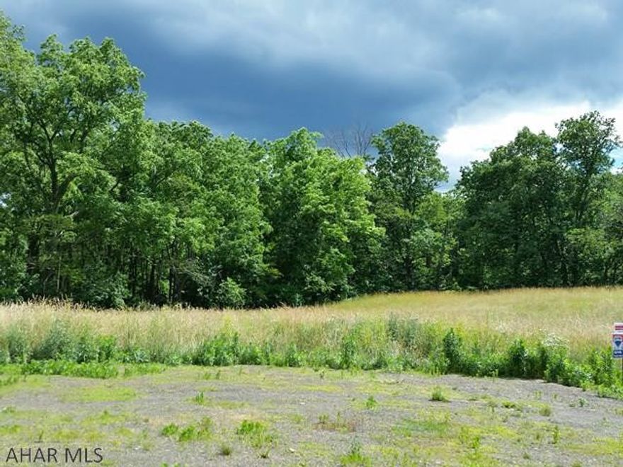 Beautiful country setting for your new home at end of culdesac! 1.04 Acre Lot.  Public water & electric available. 2/14/17 site & perc test completed & design paperwork ready for buyer to complete onlot sewage disposal system. J-392