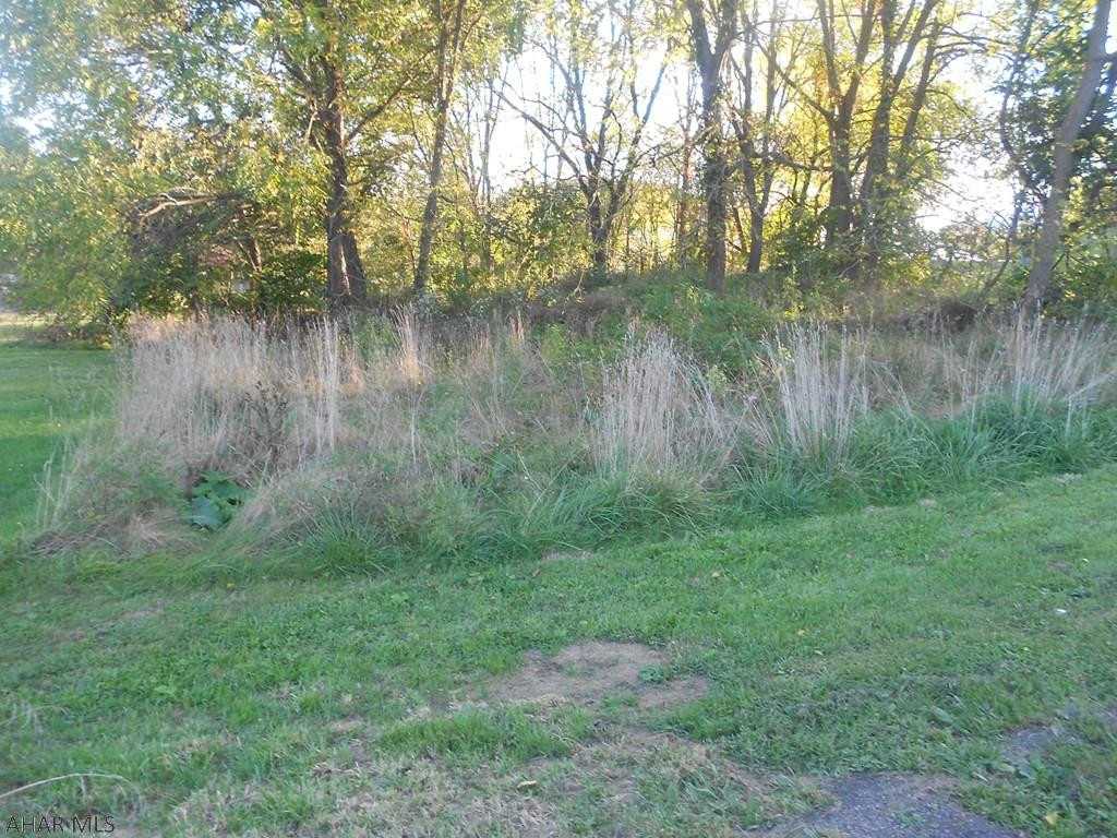 Orchard Heights - Land