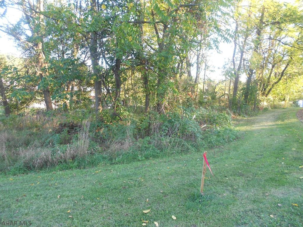 Orchard Heights - Land