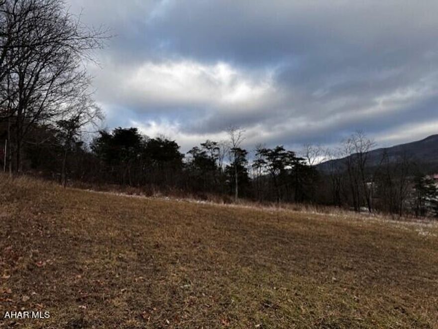 Discover the perfect canvas for your dream home on Buffalo Rd! This expansive 41+ acre property boasts breathtaking views, complete with electric, well, and septic already in place. The partly wooded landscape offers tranquility, while a level area provides an ideal spot to build your dream home. Although there's an old building on the property that is a tear down, envision the possibilities of creating your own haven in this scenic retreat. Seize the opportunity to turn this picturesque parcel into whatever you want!  Property is in Clean & Green