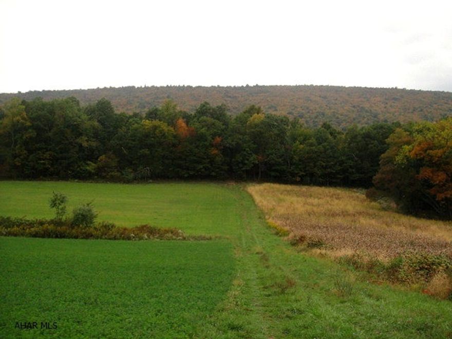 36.88 wooded acres at the base of Tussey Mountain approximately 15 minutes from Raystown Lake; just close enough to the fun and just far enough away from it all to offer peace. Careful trimming would provide any structure the early morning sun and a breath-taking view of the valley below. It is one of the best recreational business properties near the lake or it could be an outstanding location for your dream get-away or forever home. A DEP storm water run-off permit has been issued and is good until September, 2013. It has been perked and a set of land development plans are included.