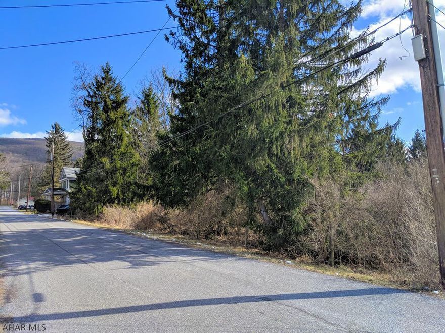 Large, wooded one acre lot in an established neighborhood in the Greenwood section of Altoona. Close to I-99. Flat & ready for clearing and for your new home!