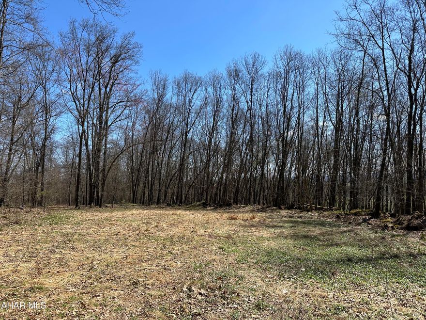 Wooded acreage near Curwensville and Clearfield, located at the end of French Road,  much of the lot is gently rolling, small cleared area, part of the lot overlooks a field with a beautiful mountain view, this would make a great location for your dream home