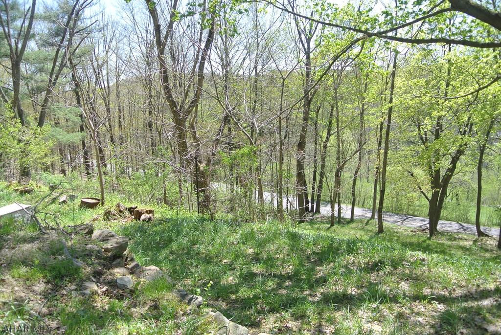 Juniata Gap - Residential