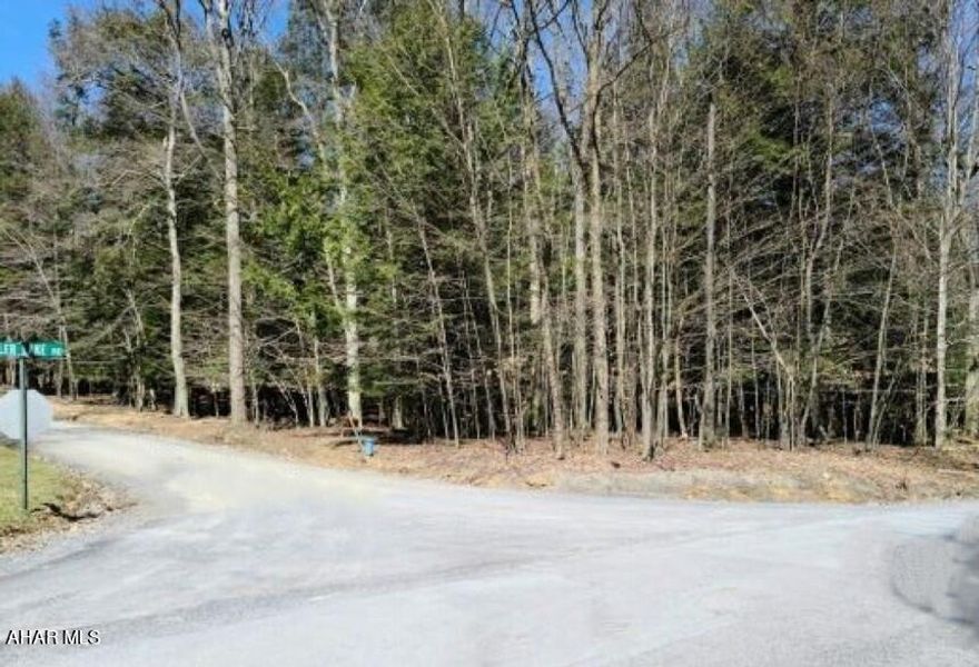 Large, wooded building lot, in Glendale year round gated community! Build your dream home or vacation getaway. City Sewer, water, and electricity are available at the roadway. Yearly association fee includes- Trash, maintenance, snow removal, pool, tennis court, basketball court & community pavilion. Visit- www.gypoa.com for more info. Dues are 590 annually.