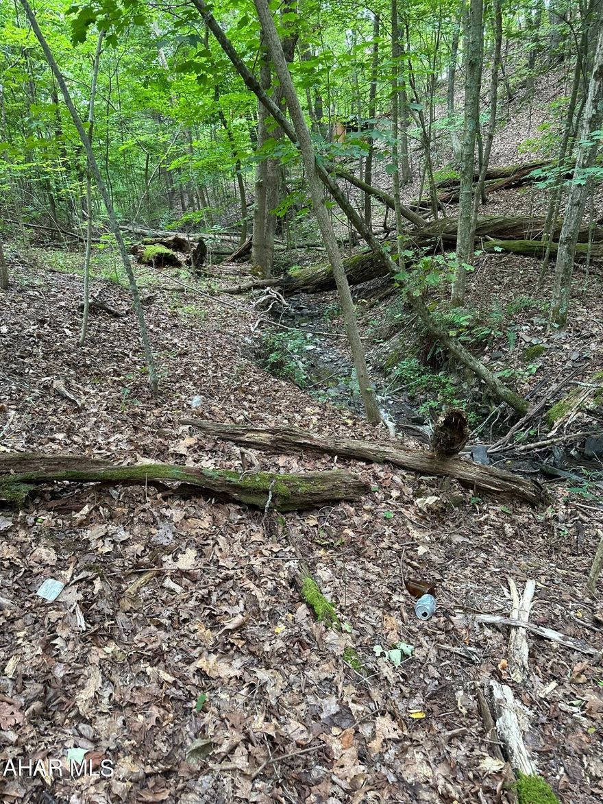 Looking for a Great Hunting property this is the one with a seasonal stream.  Road frontage and easy access! Owner has surveyed property.