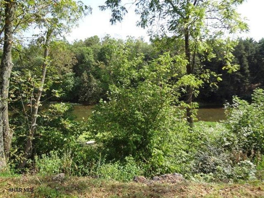 3/4 acre lot backing up to the Juniata River.  Has existing trailer, well, and septic system.( septic was installed but final test may or may not have been completed)