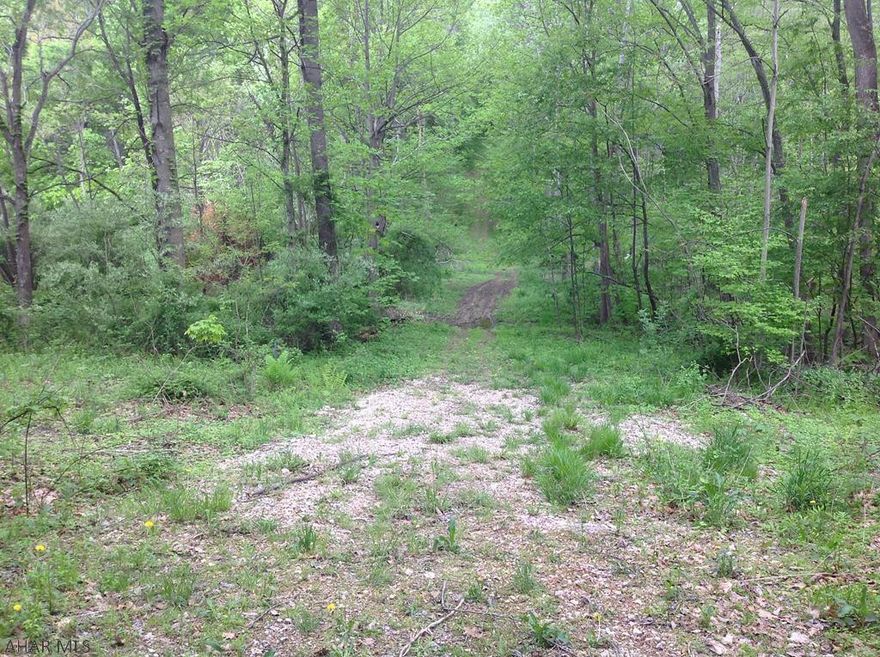 Beautiful wooded 26.7 acres, for a great cabin or a full time home.  Road access to property, and it has been previously perked.  GREAT location for a vacation home, hunting or hiking.