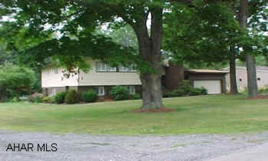 4 level split level.  Dog odor in basement level.