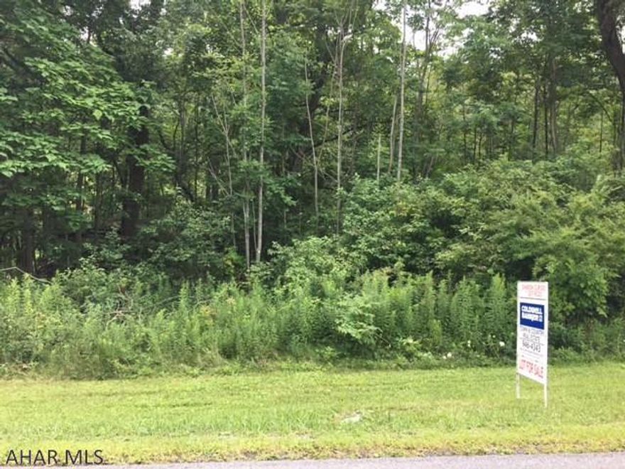 Beautiful wooded 100x200 lot on Maple Hollow Road. Old log cabin on the property in poor condition. Public sewer runs to lot line. Water runs to lot line.  Allegheny Township no zoning.