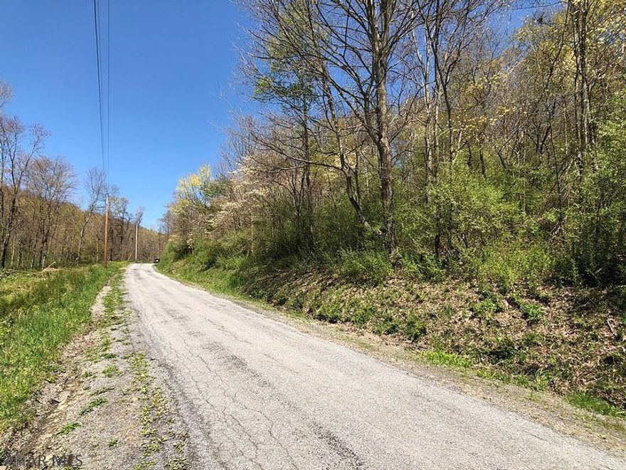 Seize this opportunity to own a beautiful and peaceful wooded building lot. 5 lots are currently available. Each lot has amazing views at the top of a gentle slope. All with perc tests on file for sand mound systems on or near potential building sites. Baughman Cemetery Road is a township maintained road. Each lot is over 10 acres and can remain in the clean and green program. Only 25 miles from both State College and Altoona they are ideally located for an easy commute on I-99. With wildlife abound the joy of nature and elbow room are within your grasp. Don't miss out!