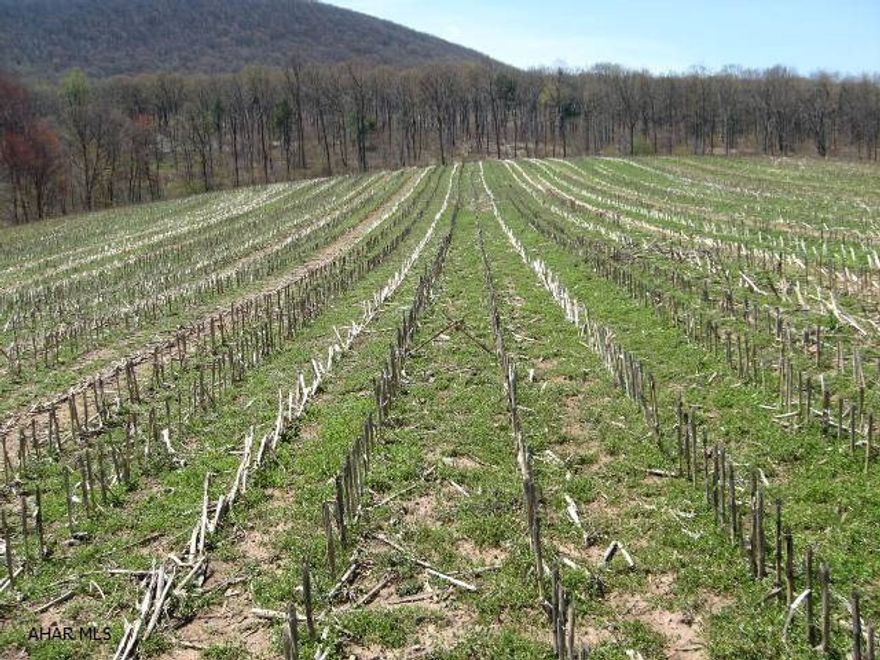 Nestled on a hilltop is this hard to find 54.69 acre parcel with approx. 25 tillable acres.  Outstanding views of the surrounding mountains makes this the perfect place to enjoy nature or build that farm you've always wanted.