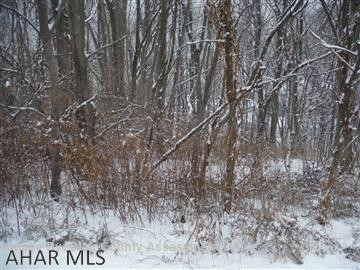 Ofiesh Development - Land