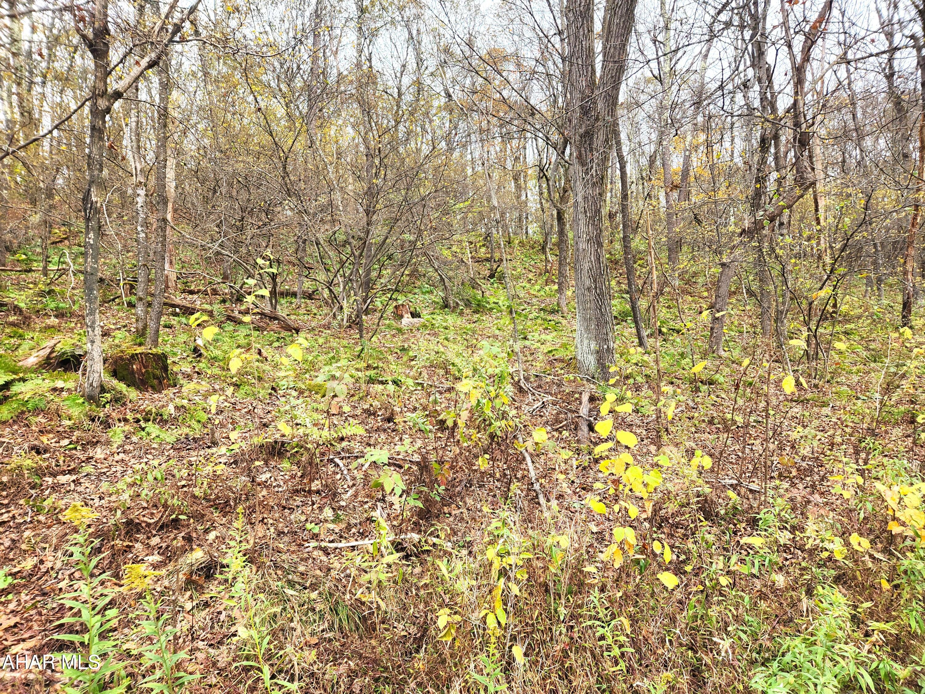 None - Commercial Sale