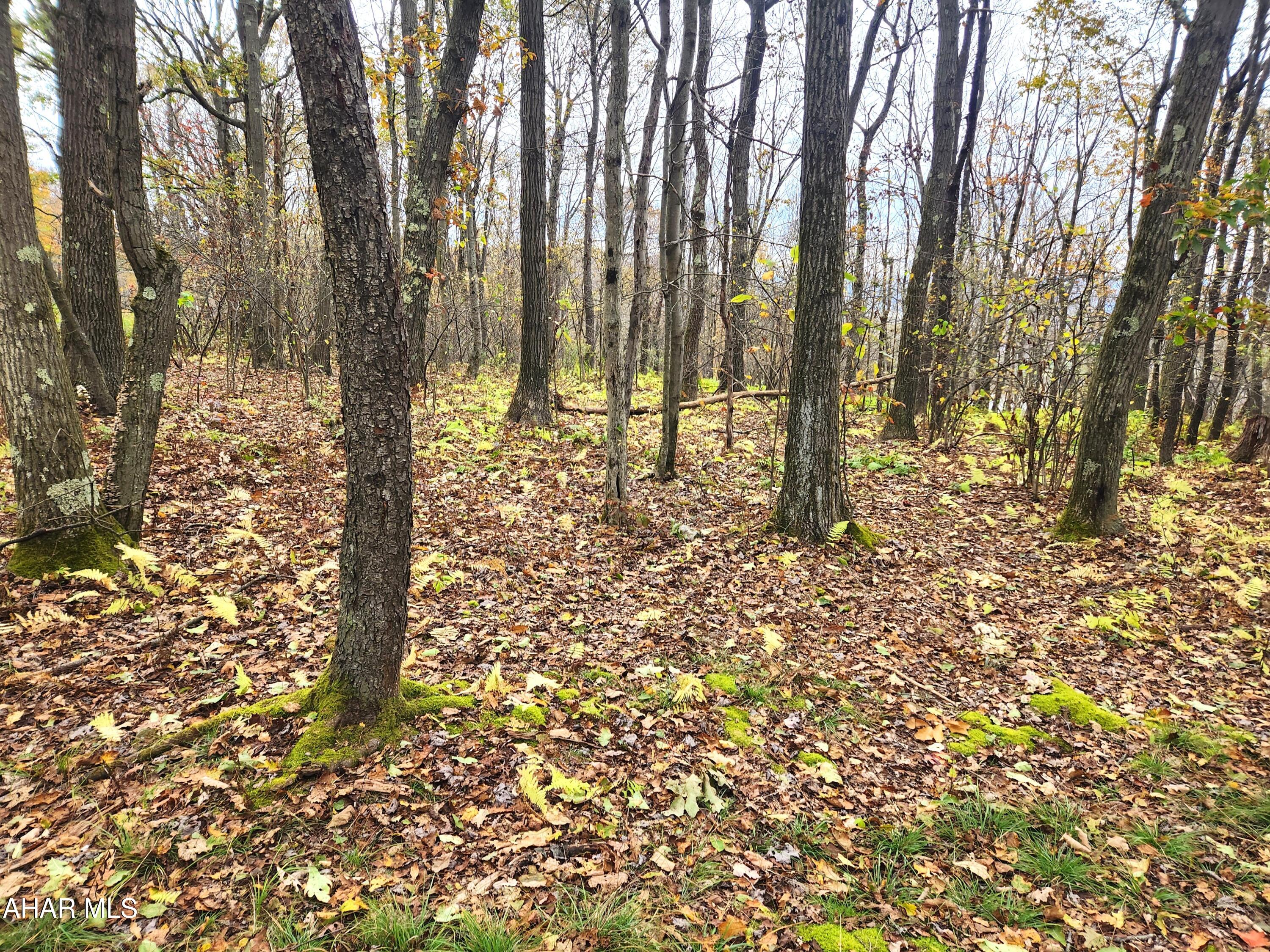 None - Commercial Sale