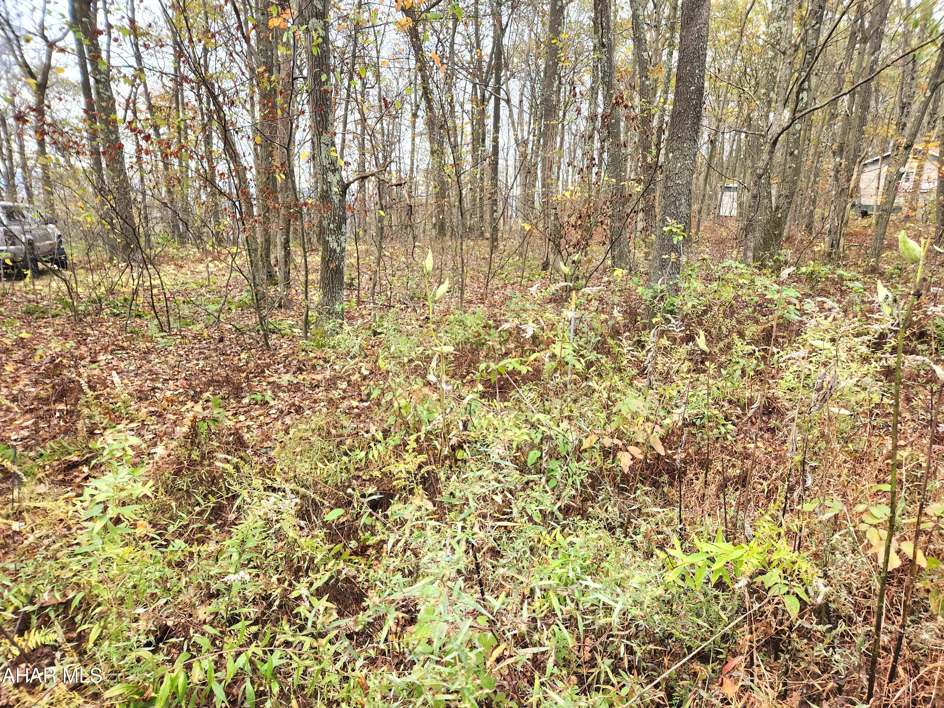 None - Commercial Sale