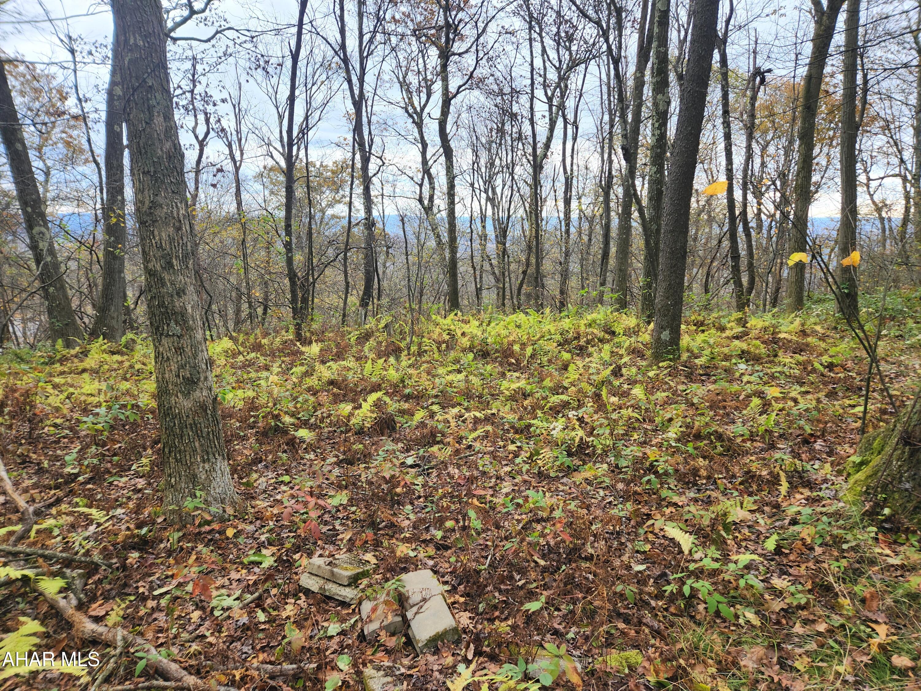 None - Commercial Sale