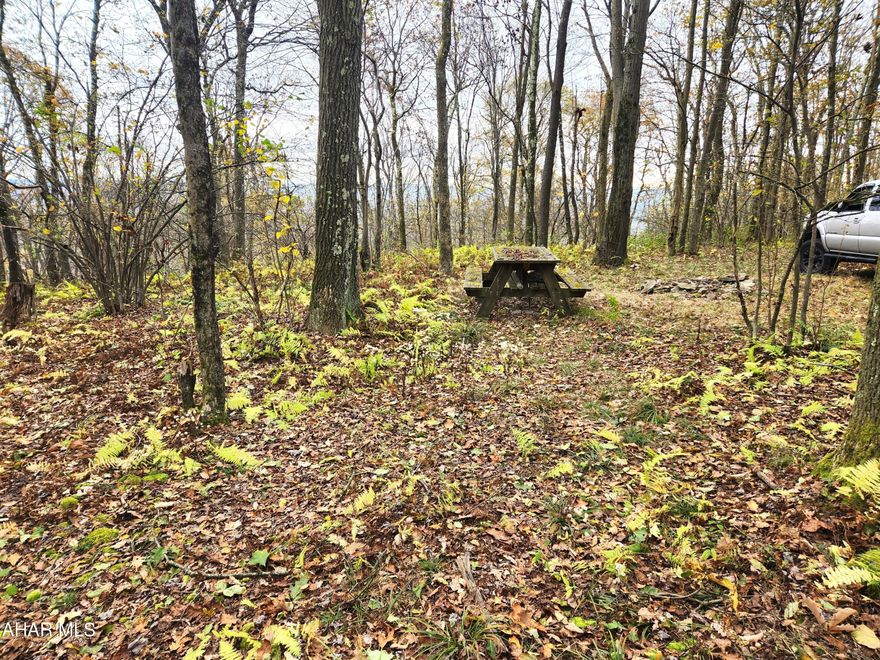 Are you looking for a secluded getaway to just enjoy nature and leave the ratrace behind?  Come take a look at this slice of paradise.  With 2.66 acres, and mutiple locations to build a house, a cabin or just camp on, this may be the property for you.  Enjoy a spectacular sunrise as you look to the east.  As you stand on the upper side of the property, you can see the mountain ridge by Bedford,  Situated between Scrub Oak Road and Timberline Road, this property offers multiple access points.  According to the owner, access to the nearby lands of the Wilmore Coal Company can be had for a nominal fee.  This land allows for hundreds of acres of outdoor activities.  Come take a look, it's not far from Shawnee State Park or Blue Knob.  Property is in the Buck Run HOA, the $70 annual fee in for road mainenance. Acreage and taxes are from public records; buyer to verify.