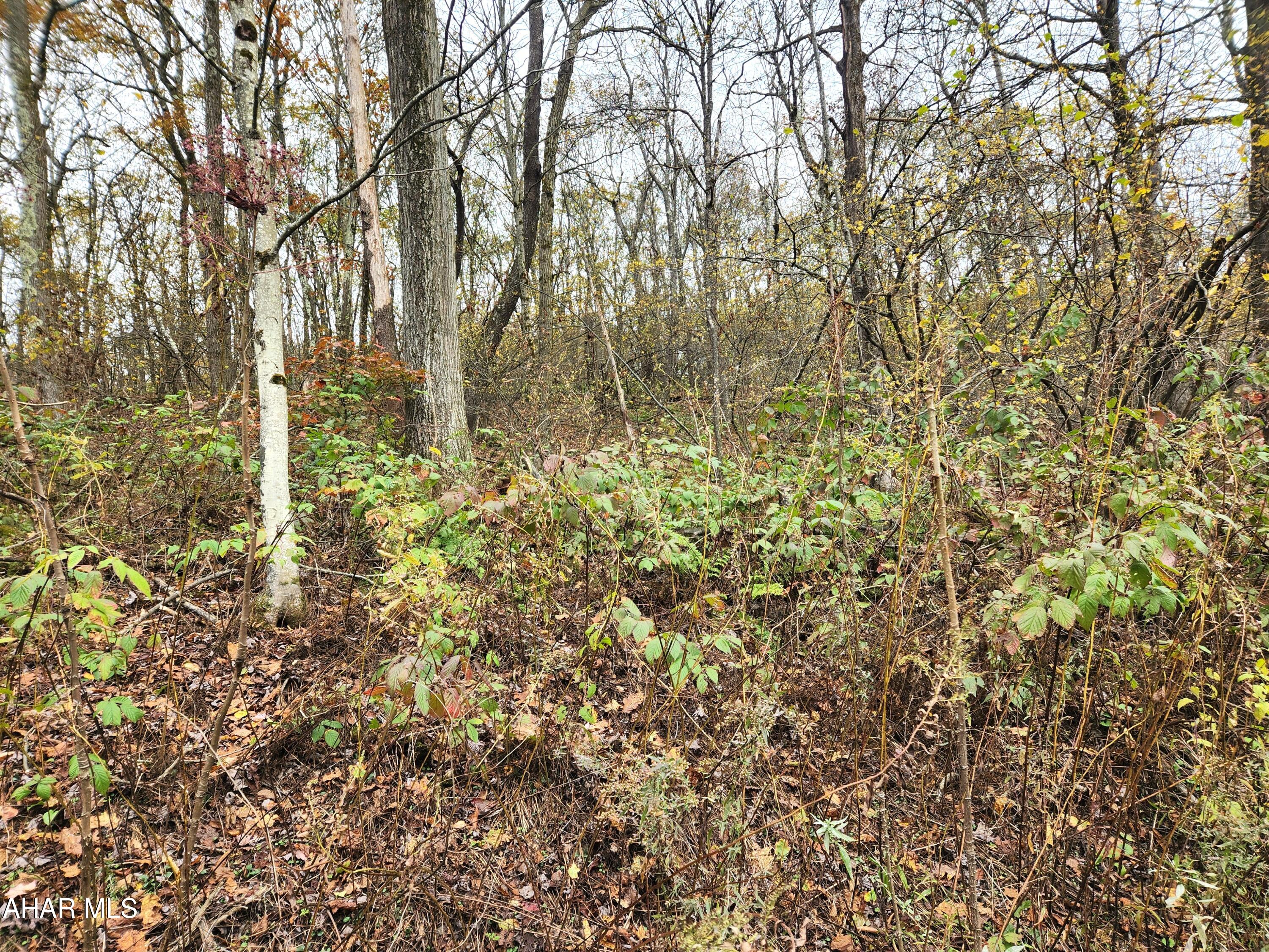 None - Commercial Sale