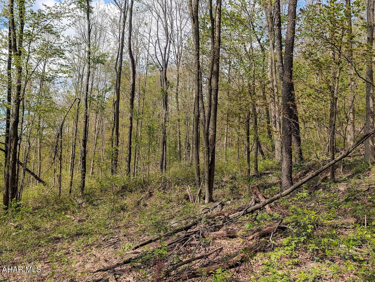 None - Land