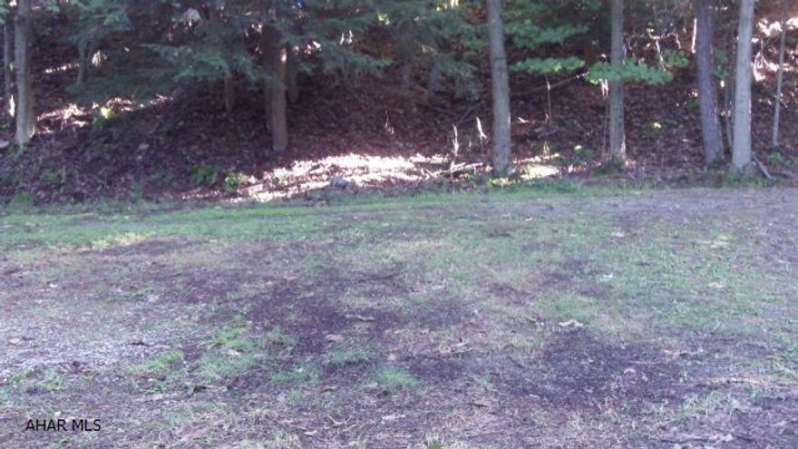 Terraced campsite gives you different levels to your camping experience.  Shed is included.  Development amenities include community swimming pool, tennis/basketball/volleyball courts, clubhouse, dog park, playgrounds, recreational activities.  Adjacent to Prince Gallitzin State Park / Glendale Lake.  Six miles from Rock Run ATV park.  Owner has optional motor home for sale.