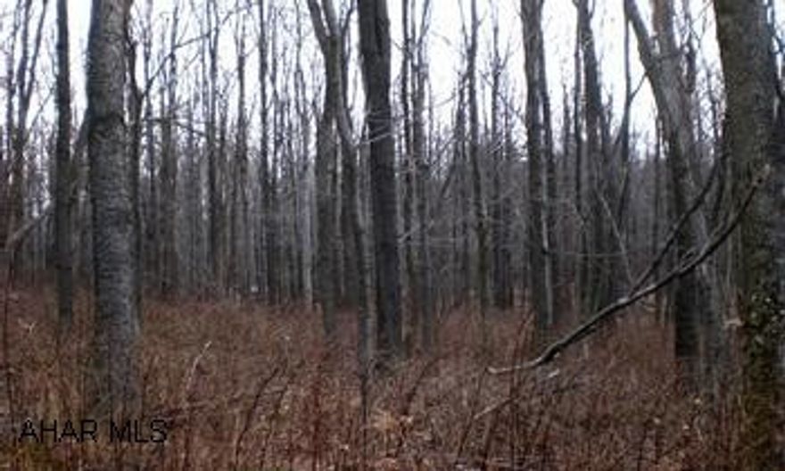 From Bedford, State Route 30 West to Schellsburg, from light in Schellsburg, proceed straight to Mill Street.  Follow road approximately 1/2 mile.  Lots are on the left side of road.Hard to find level, wooded, building lots located in Schellsburg.  Only seconds from Shawnee State Park.  Some lots have good mountain views.  Premium building lots that offer restrictions and privacy.  Sewer type = Public or Private.