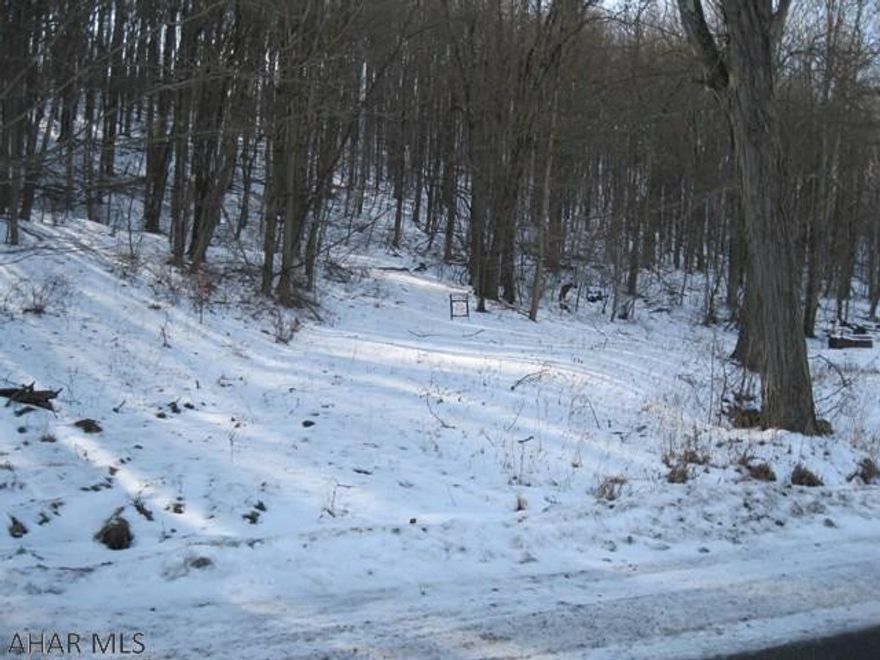 4.04 acres of private, wooded land located in Freedom Township.  Ground is currently not suitable for building as it has not passed a perc test.  It is also not currently suitable for a drip irrigation system due to the soil only being 16 inches.